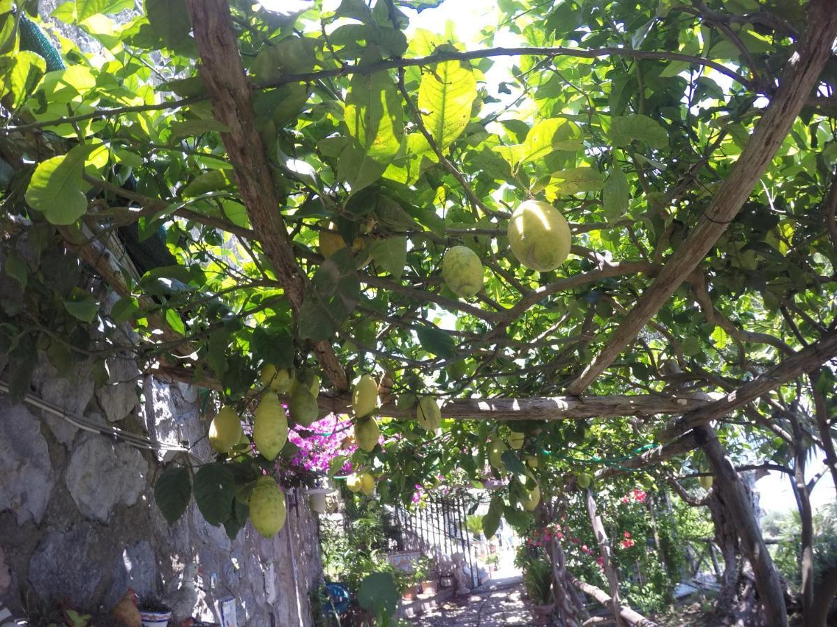أمالفي Casa Hermosa المظهر الخارجي الصورة