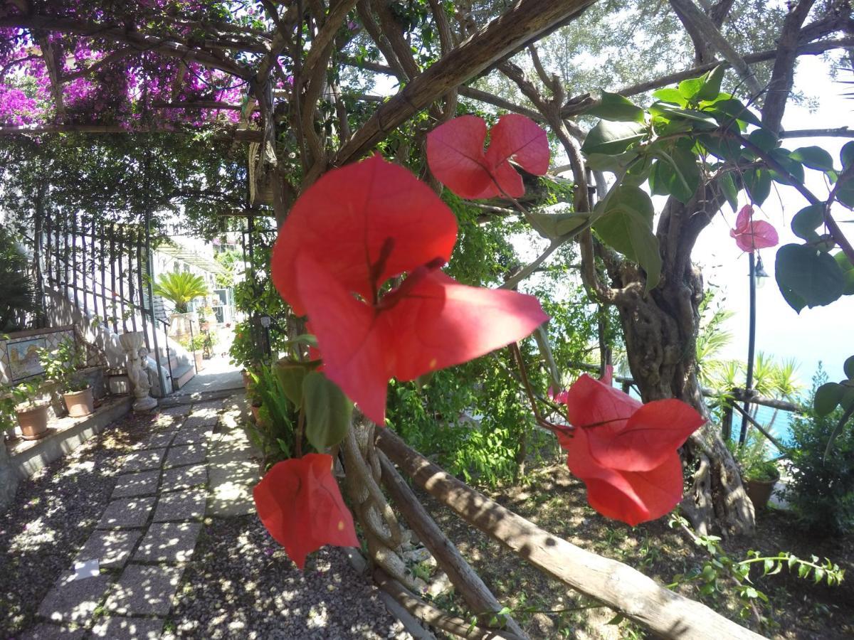 أمالفي Casa Hermosa المظهر الخارجي الصورة